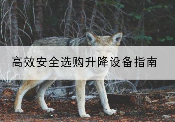 番禺升降货梯厂家推荐-*安全选购升降设备指南