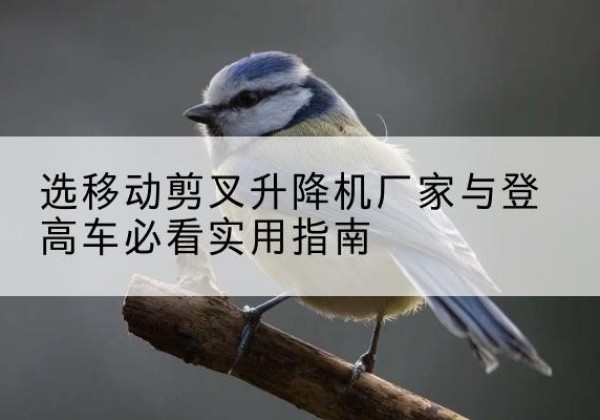 番禺电动升降机厂家-选移动剪叉升降机厂家与登高车必看实用指南