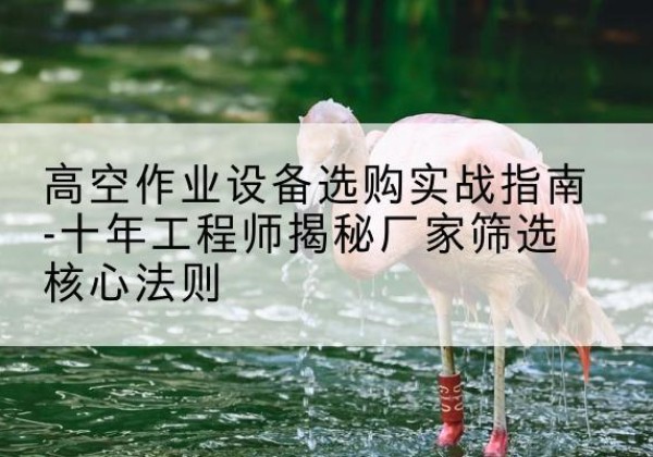 番禺剪叉式升降机厂家-高空作业设备选购实战指南-十年工程师揭秘厂家筛选核心法则